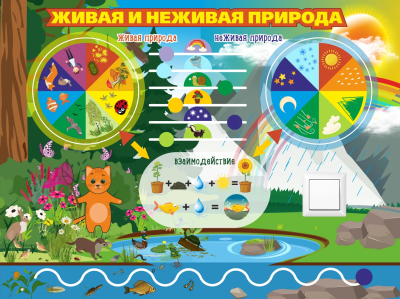 Живая и неживая природа