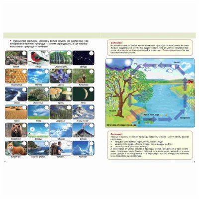 Задания по теме Живая и неживая природа для дошкольников