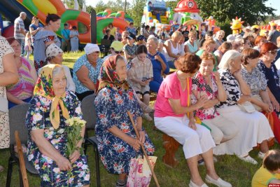 Деревня Тямша Псковская область