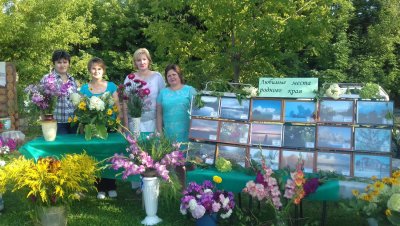 День села украшение на улице