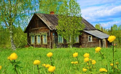 Родной дом в деревне