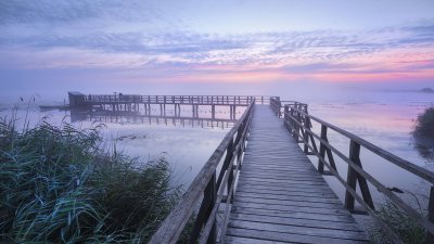 Природа Пирс