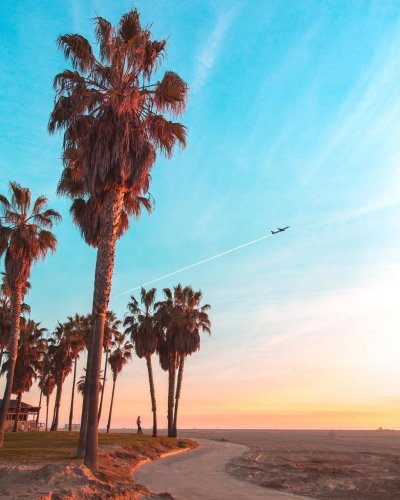 Побережье в США С пальмами