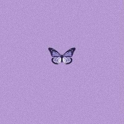 Сиреневые обои с бабочками