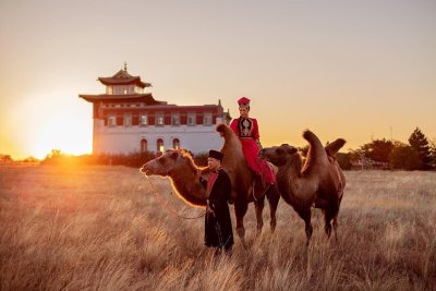 Бактриан верблюд Калмыкия