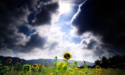 Тучи и солнце