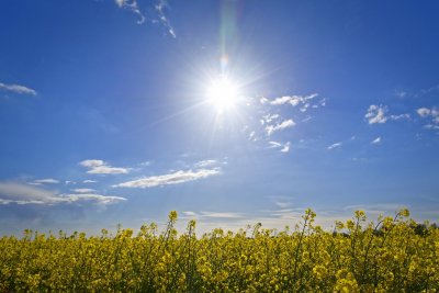 Солнечное небо