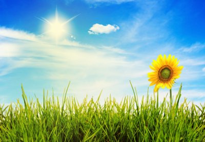 Небо солнце