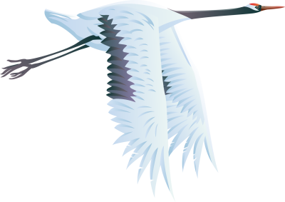 Птицы в небе на белом фоне