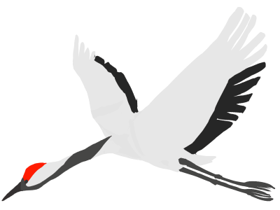 Силуэт журавля в полете