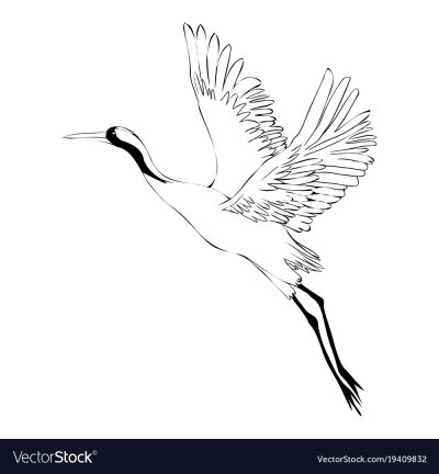 Контур журавля в полете