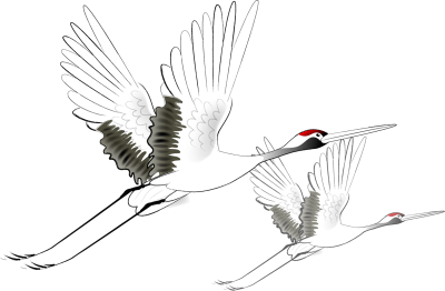 Журавль рисунок