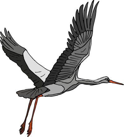 Журавль в полете рисунок