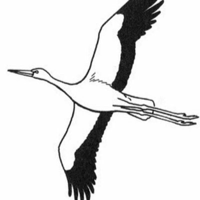 Аист раскраска