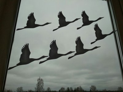 Журавли на окна