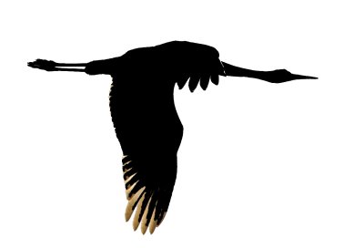 Журавль силуэт