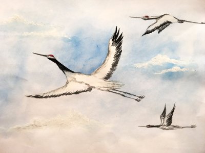 Журавль в полете рисунок