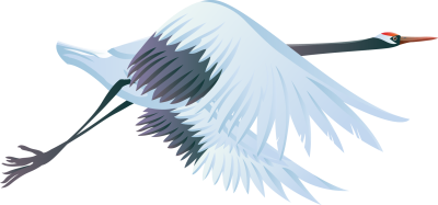 Журавль на белом фоне