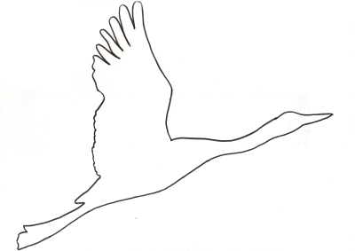 Трафарет журавля для вырезания из бумаги