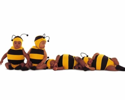 Прикольные пчелки