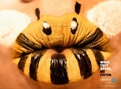 Забавная пчела