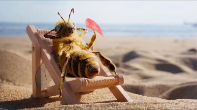 Пчела отдыхает