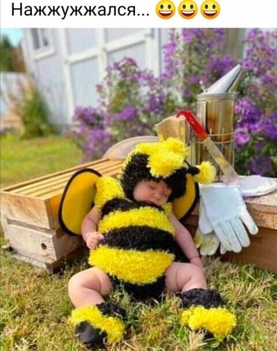 Прикольные пчелки