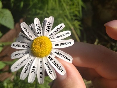 Необычные ромашки