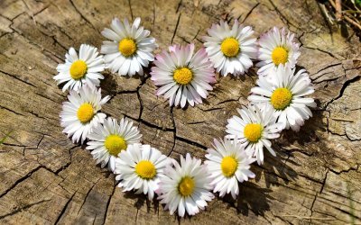 Мойчечак Гули