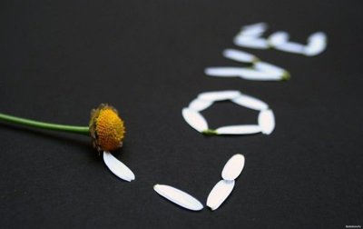 Ромашка креатив