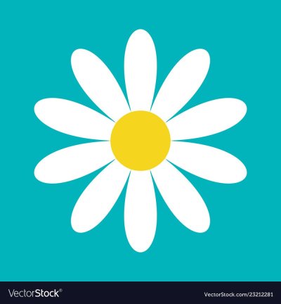Ромашка вектор