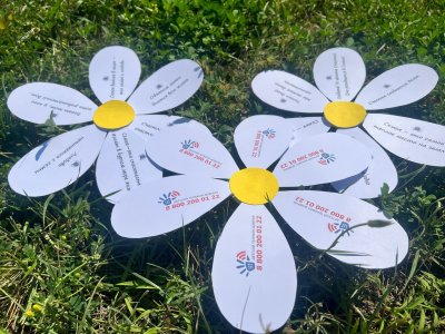 День ромашек и любви 2023