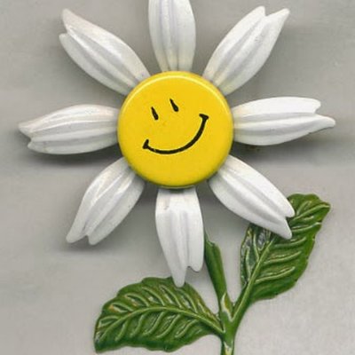 Ромашка с улыбкой
