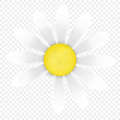 Цветок без одного лепесточка