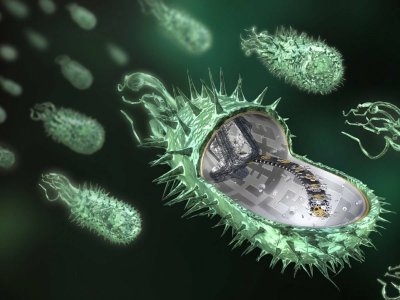 Бактерии под микроскопом