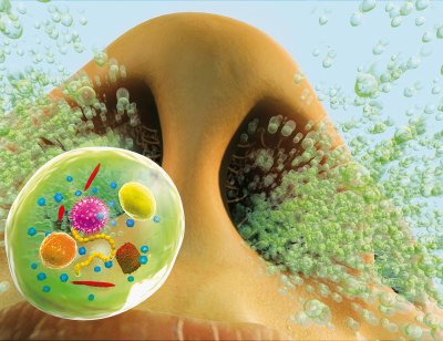 Микробы в соплях