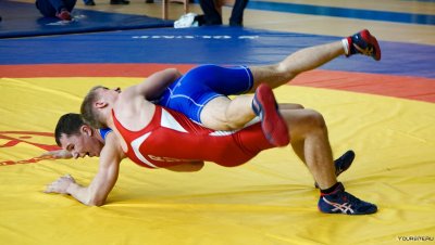 Вольная и греко Римская борьба