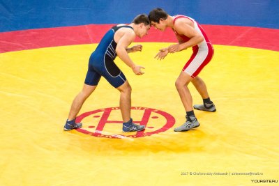 Борцы греко-римской борьбы стойка