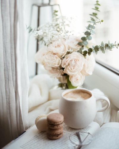 Цветы нежные уютные