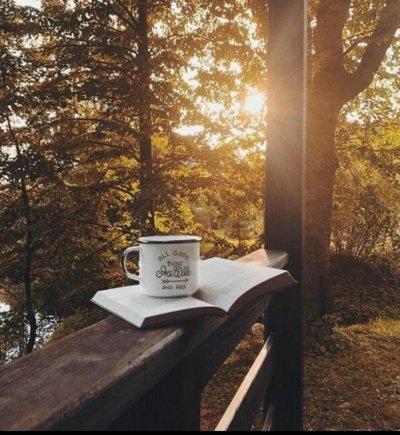 Чай на природе