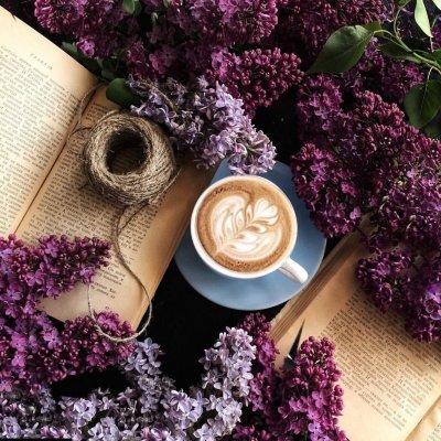 Книга цветы