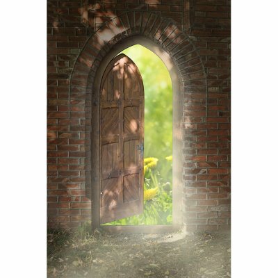 Сказочная дверь