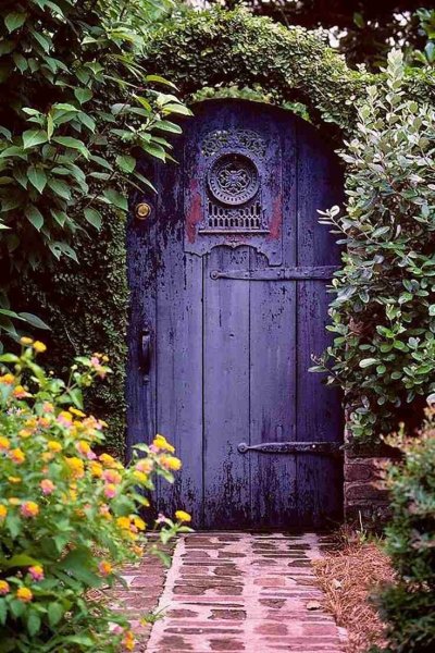 Дверь в Волшебный сад