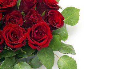 Спасибо за жизньродителелям