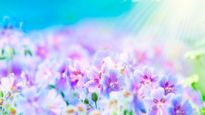 Цветочный фон