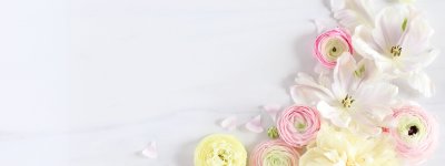 Фон цветочный нежный