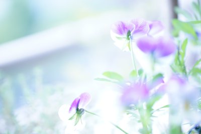 Цветочный фон