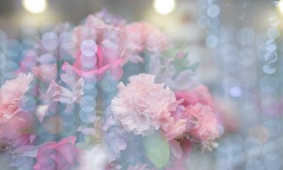 Фон цветы нежные