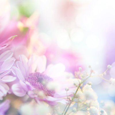 Цветы в пастельных тонах
