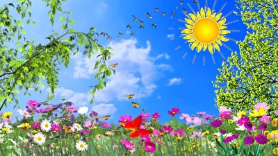 Летняя тема